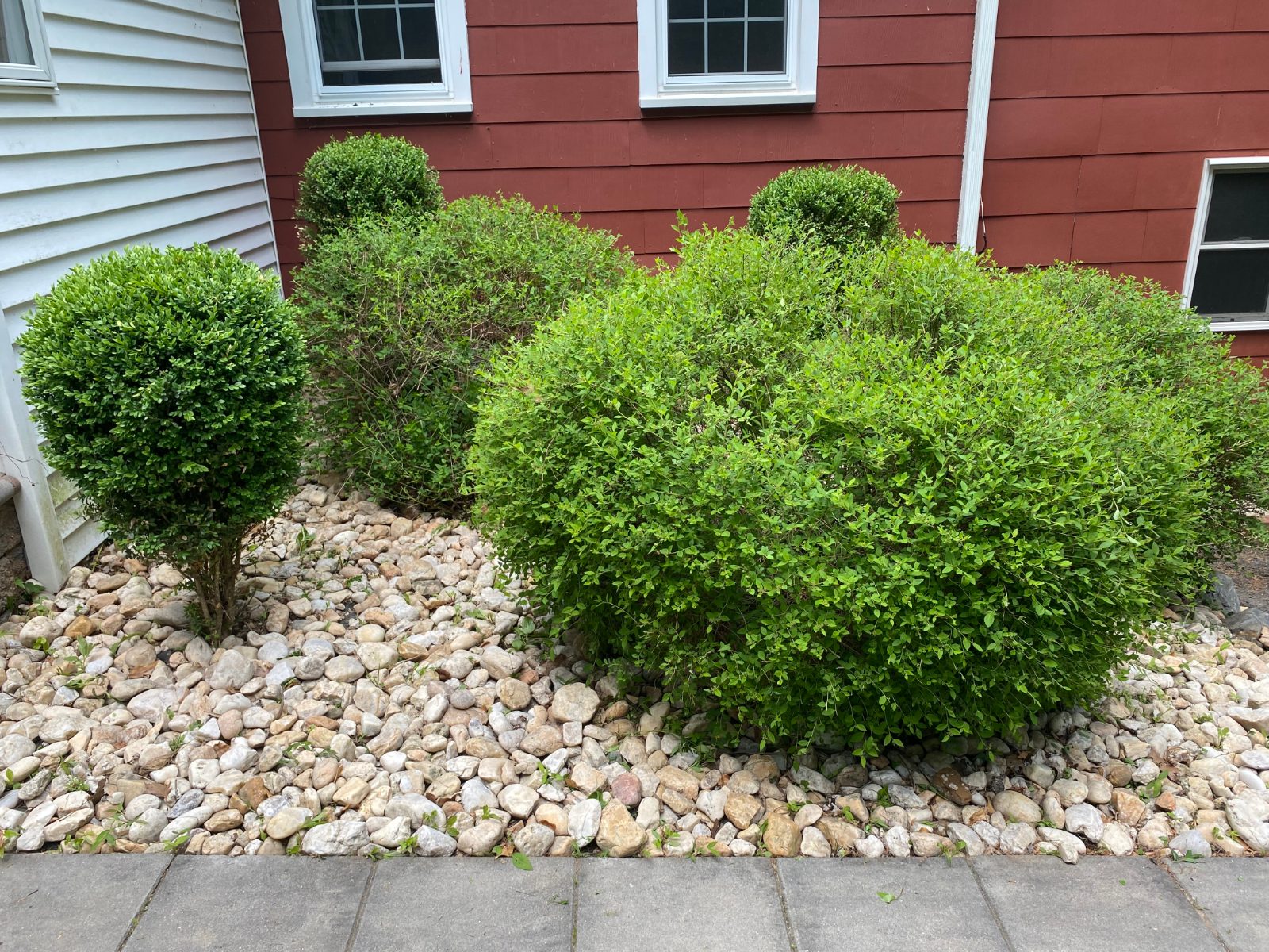 After project photo
