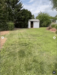 Overgrown Yard in Warminster after video